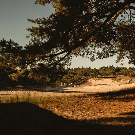 Neptuno Resort&spa Apartahotel