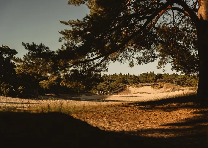 Neptuno Resort&spa Apartahotel